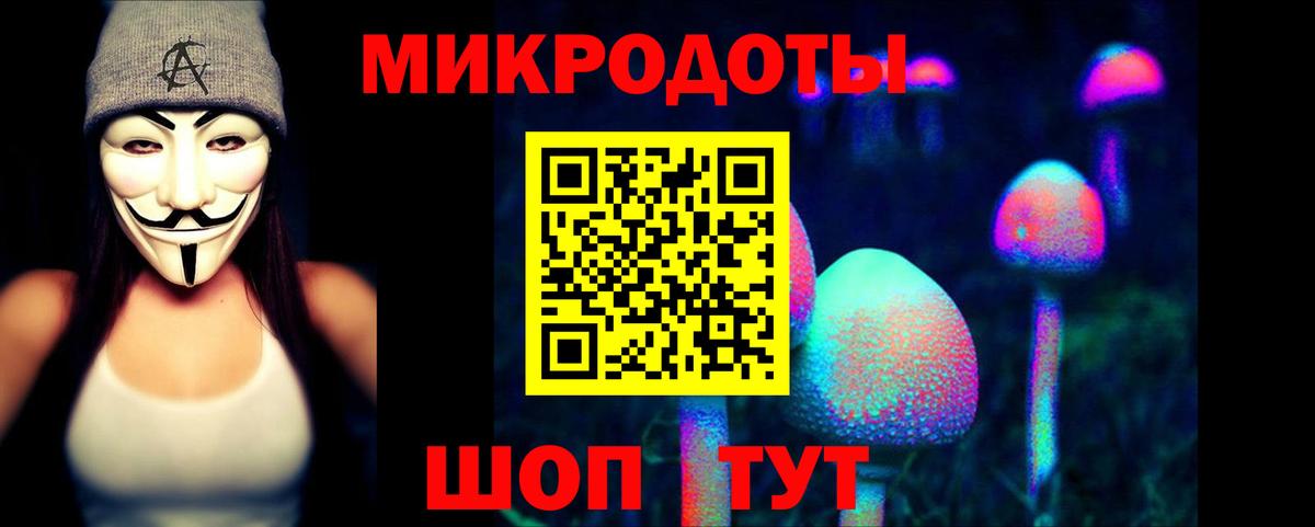 Галлюциногенные грибы прущие грибы  Вход с VPN  Солнечногорск 